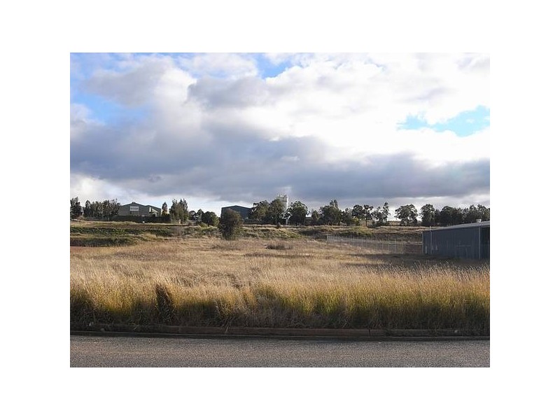 81 Strathmore Rd, Muswellbrook NSW 2333
