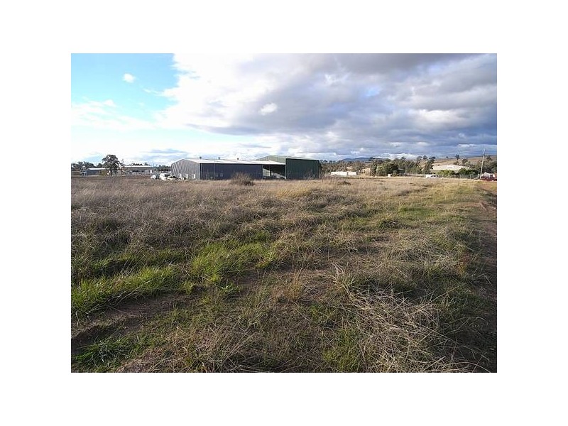 81 Strathmore Rd, Muswellbrook NSW 2333
