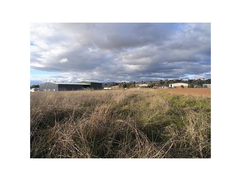 81 Strathmore Rd, Muswellbrook NSW 2333