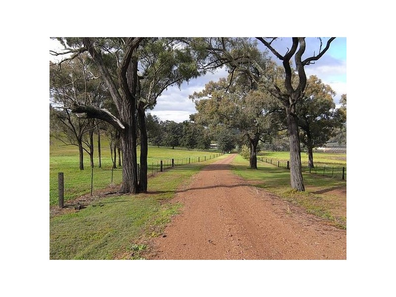 1333 Golden Highway, Sandy Hollow NSW 2333