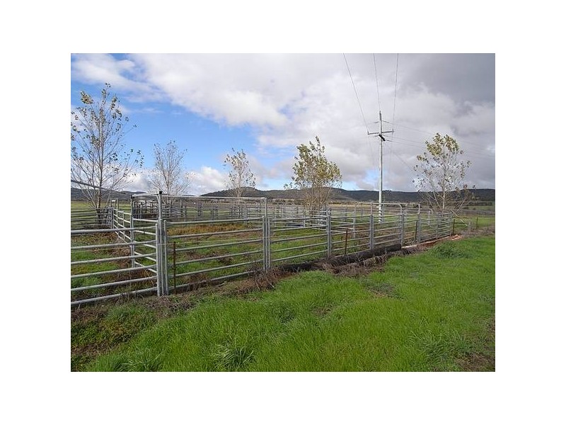 1333 Golden Highway, Sandy Hollow NSW 2333