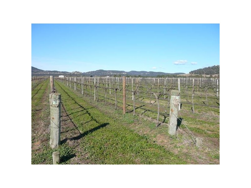 1333 Golden Highway, Sandy Hollow NSW 2333