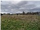 3 Thiess Cres, Muswellbrook NSW 2333