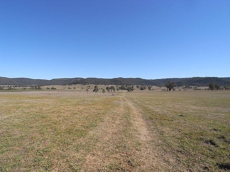 380 Yarraman Rd, Wybong NSW 2333