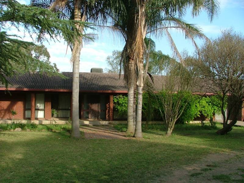 260 Denman Road, Muswellbrook NSW 2333