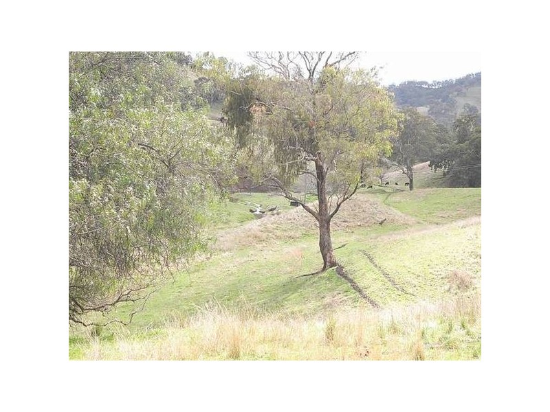852 Timor Road, Blandford NSW 2338