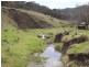 852 Timor Road, Blandford NSW 2338