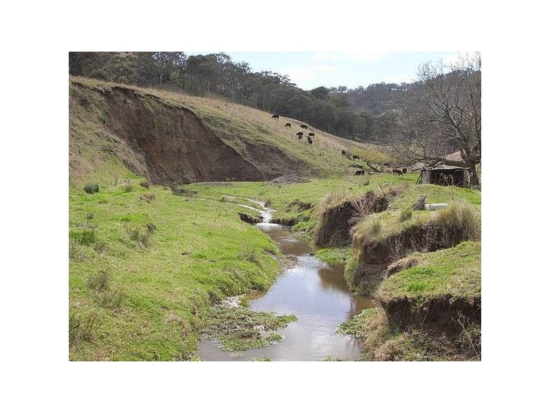852 Timor Road, Blandford NSW 2338