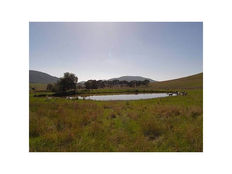 1349 Sandy Creek Road, Mccullys Gap NSW 2333