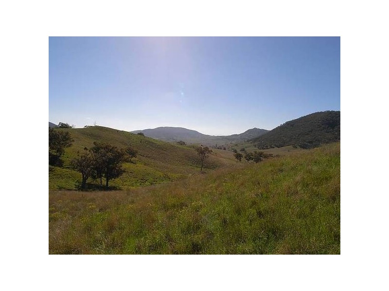 1349 Sandy Creek Road, Mccullys Gap NSW 2333