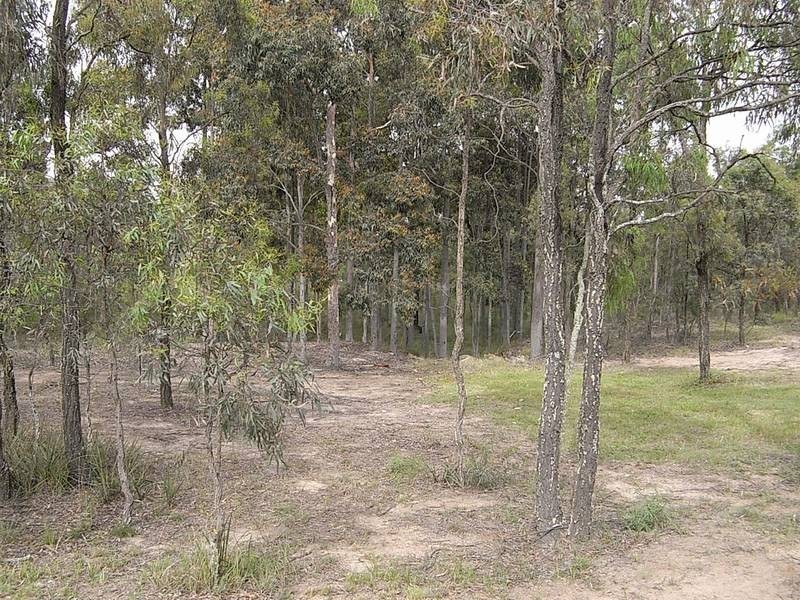 Lot 2083,  Kingfisher Court, Muswellbrook NSW 2333