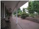 44 Shiraz Street, Muswellbrook NSW 2333