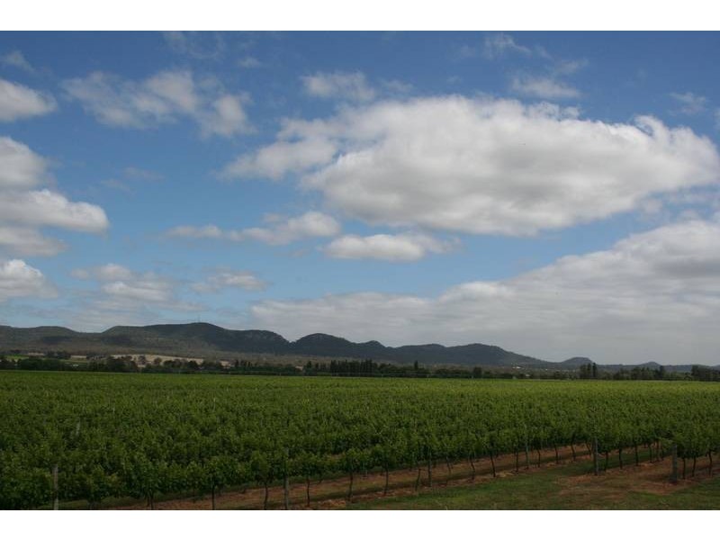 Dalswinton Rd, Denman NSW 2328