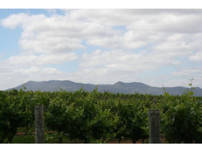 Dalswinton Rd, Denman NSW 2328