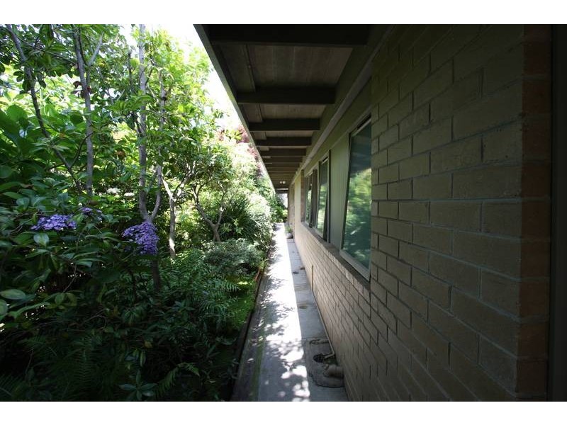 51A William Street, Brighton VIC 3186