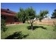 117 South Rd, Brighton VIC 3186