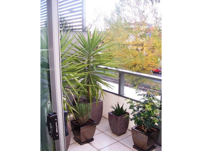 202/150 Peel Street, North Melbourne VIC 3051