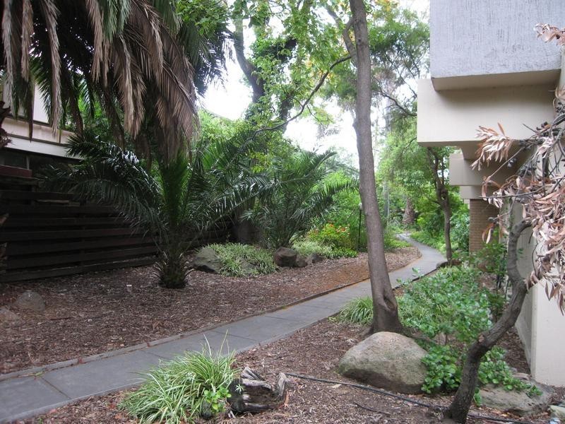 11/521 Royal Parade, Parkville VIC 3052