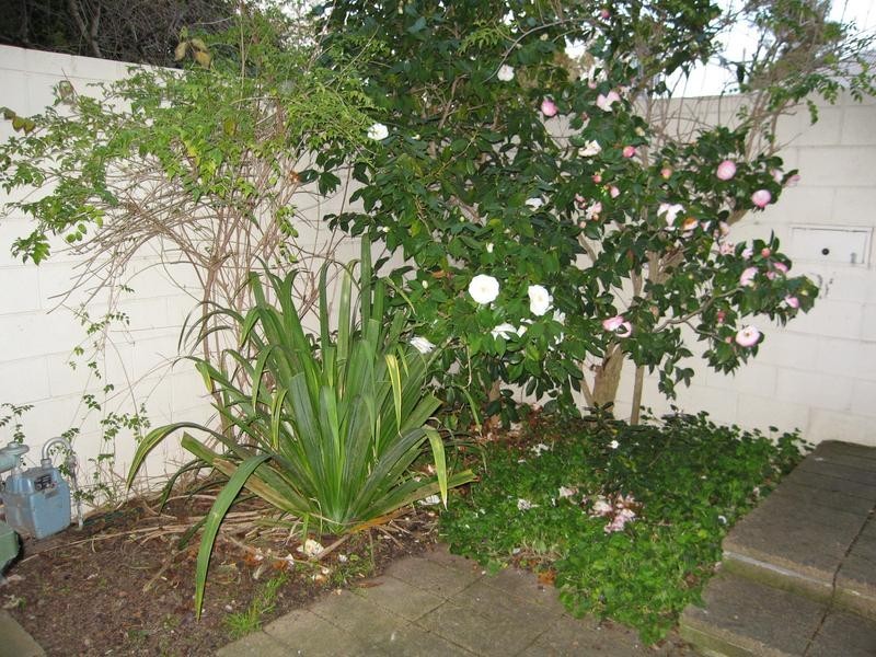 29 James Street, Richmond VIC 3121