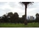 1/80 Vale Street, East Melbourne VIC 3002