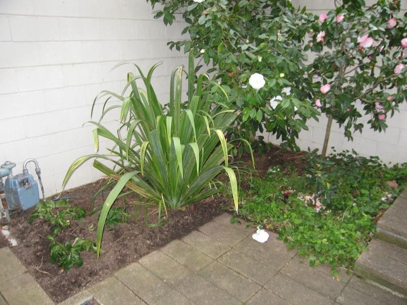 29 James Street, Richmond VIC 3121