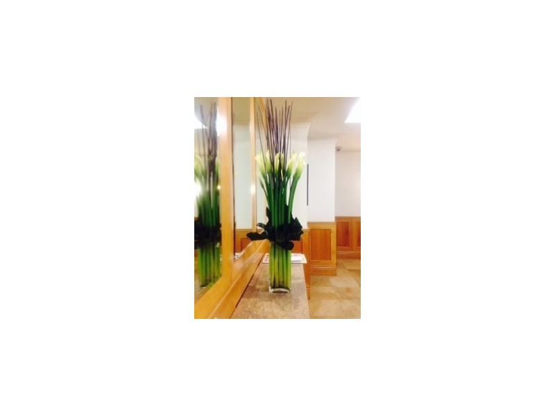 504/400 St Kilda Road, Melbourne VIC 3004