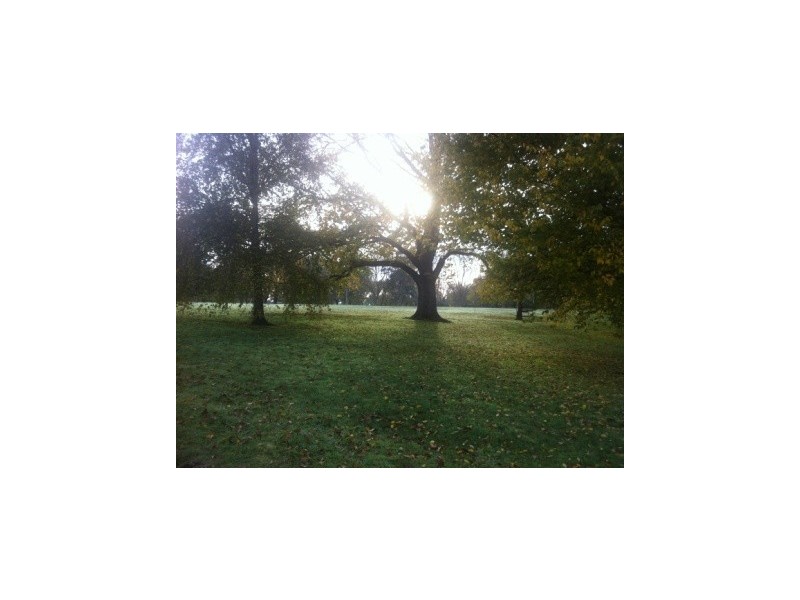 8/9 South Terrace, Clifton Hill VIC 3068