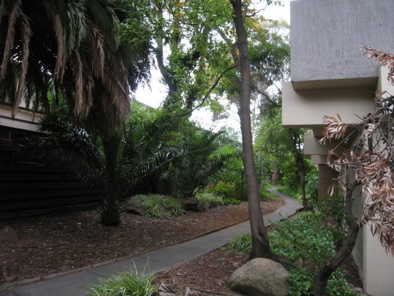 11/521 Royal Parade, Parkville VIC 3052