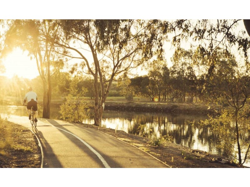 31 Ibis Place, Maribyrnong VIC 3032