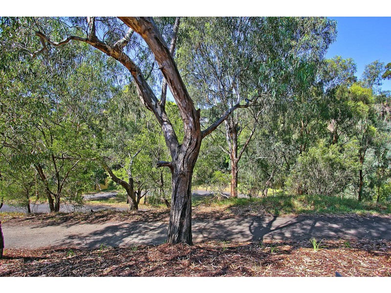 1LG/13 Acacia Place, Abbotsford VIC 3067