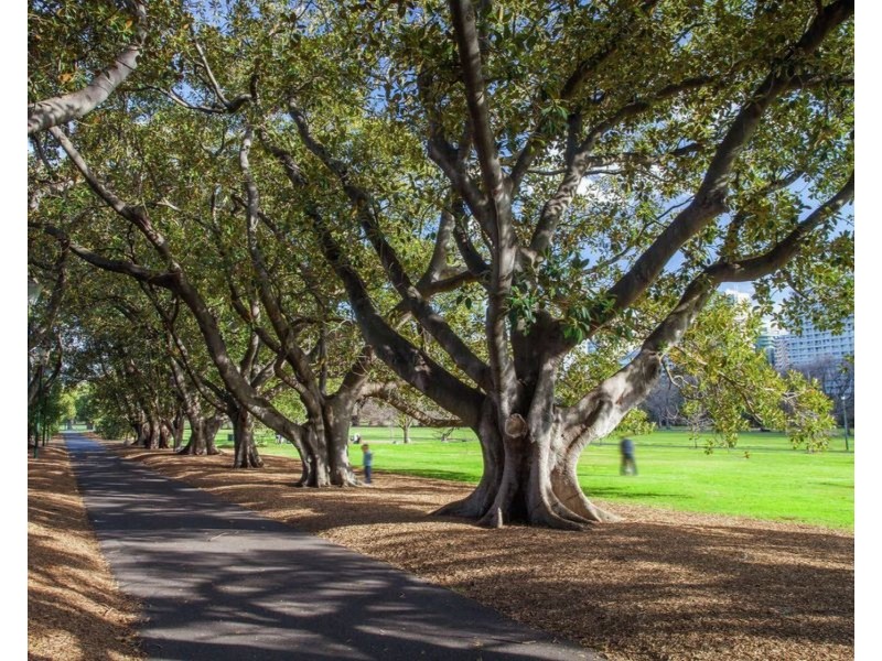 30/431 St Kilda Road, Melbourne VIC 3000