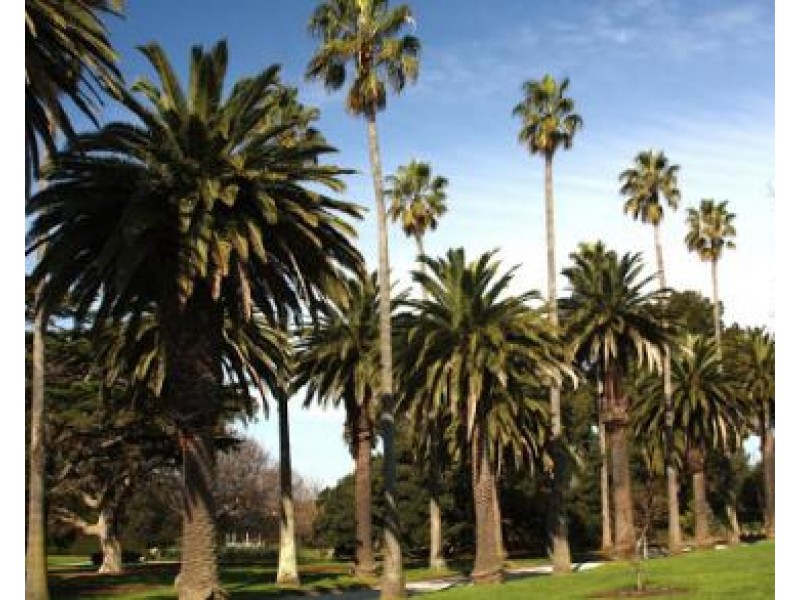 106/24 Crimea Street, St Kilda VIC 3182