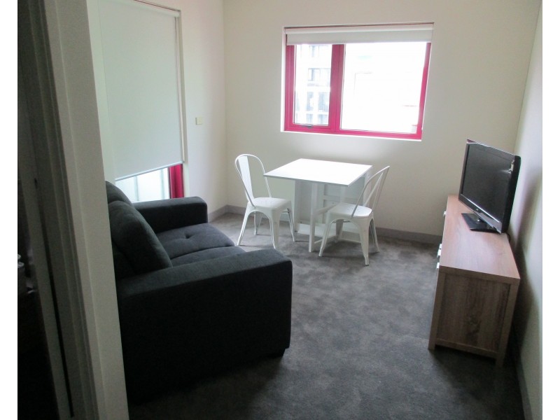 822/528 Swanston Street, Carlton NSW 2218