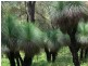 Lot 3-411 Jiggi Road, Goolmangar NSW 2480