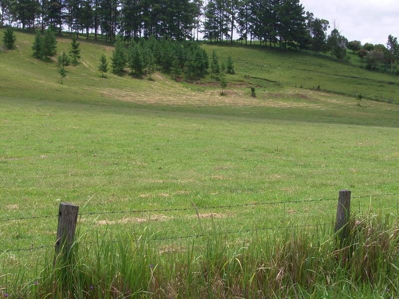 Lot 1-411 Jiggi Road, Goolmangar NSW 2480