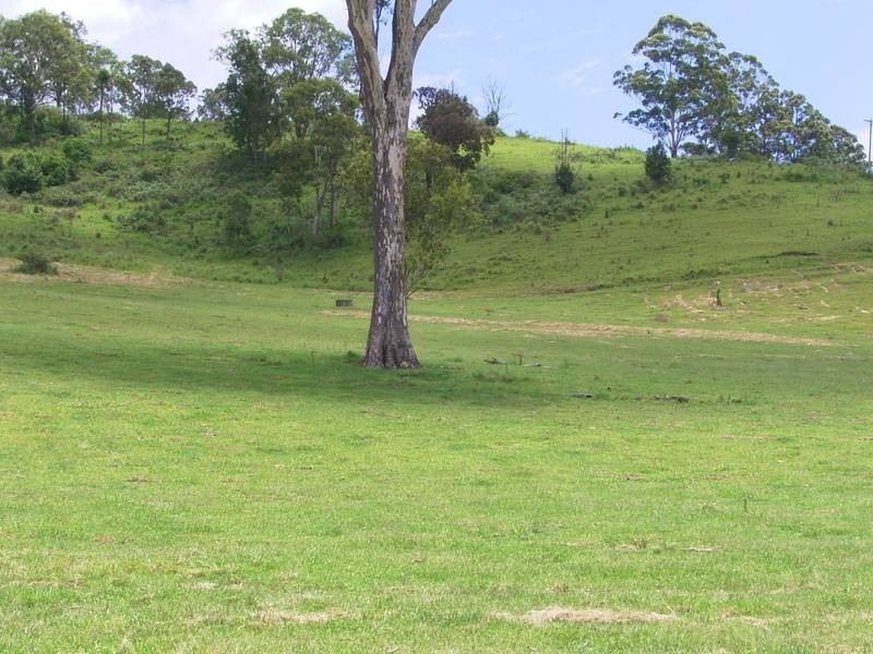 Lot 2-411 Jiggi Road, Goolmangar NSW 2480