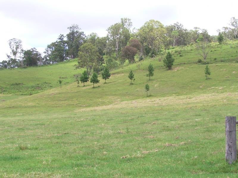 Lot 2-411 Jiggi Road, Goolmangar NSW 2480