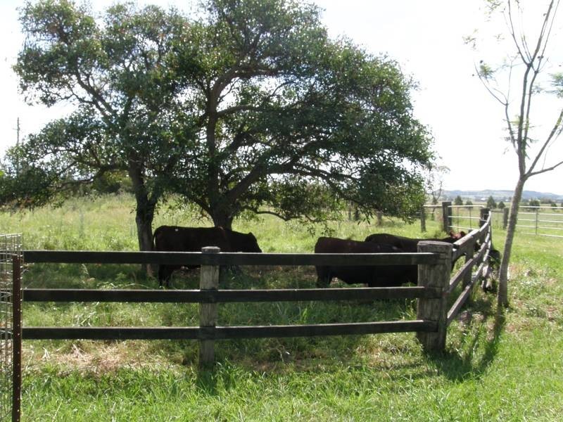 Lot 7 Ferris, South Gundurimba NSW 2480