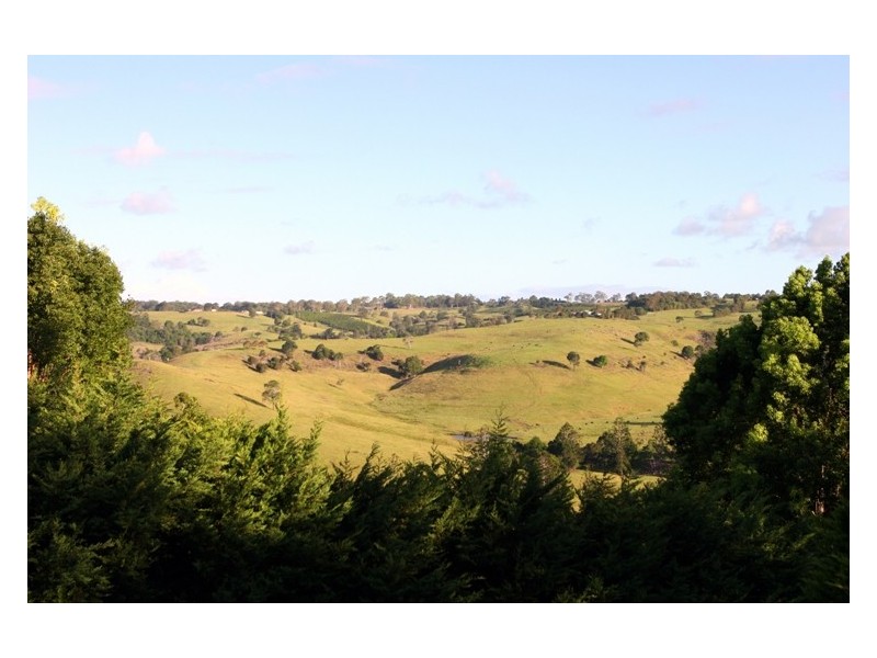 8 Kaanapahali Avenue, Richmond Hill NSW 2480