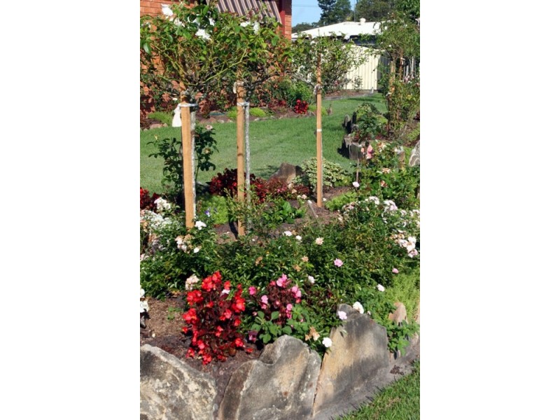 8 Leilani Close, Casino NSW 2470