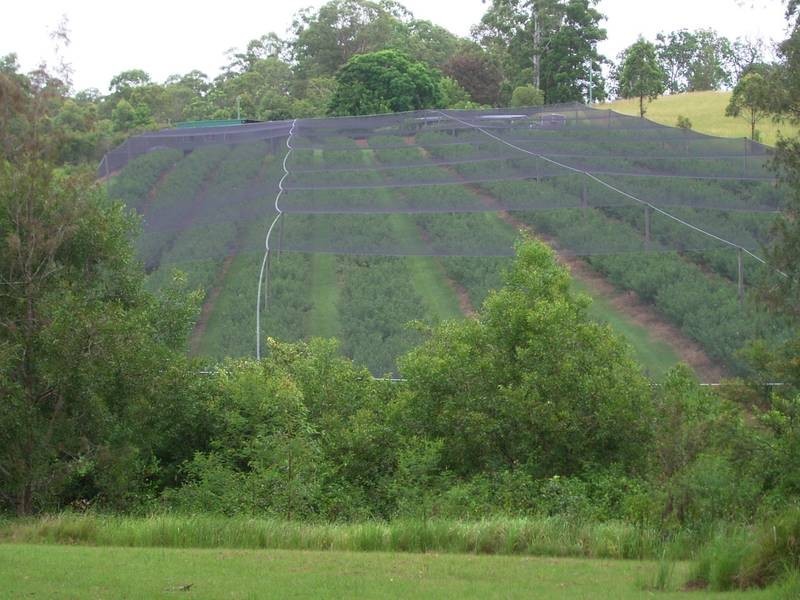 209 Billen Road, Georgica NSW 2480