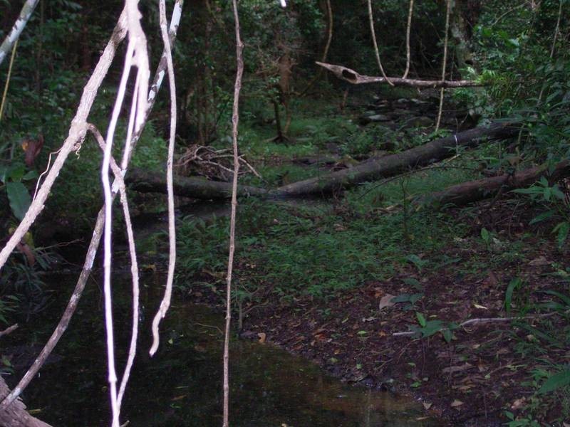 209 Billen Road, Georgica NSW 2480