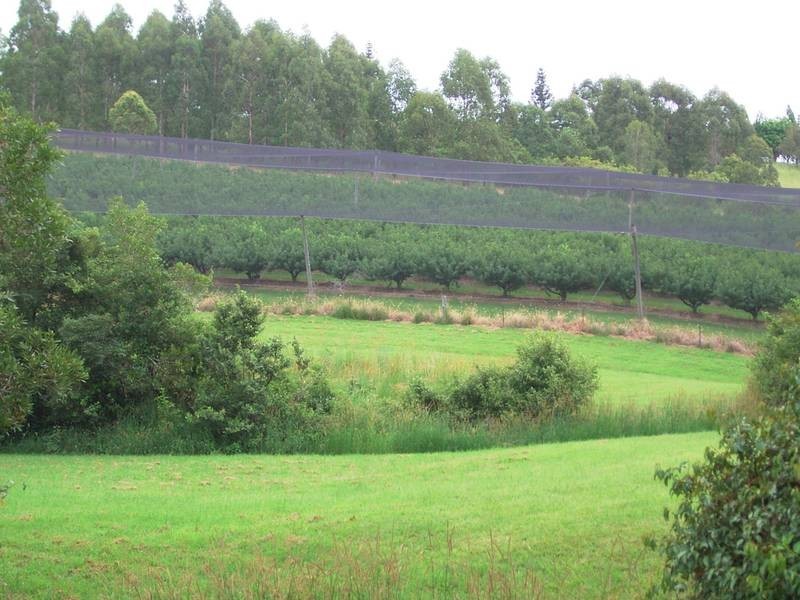 209 Billen Road, Georgica NSW 2480