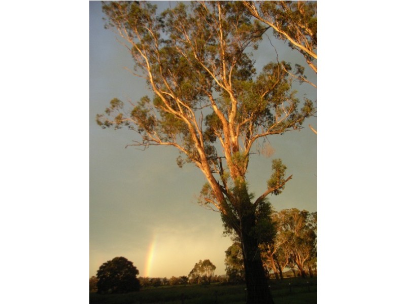 165 The Bend Road, Casino NSW 2470