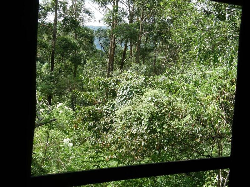 177 Rose Road, Tuntable Creek NSW 2480