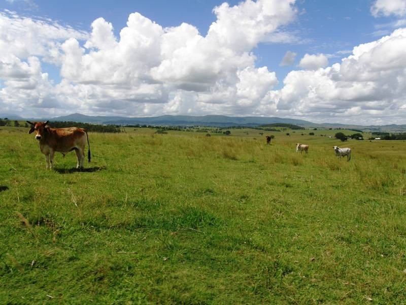 Lot 270 Upper Strathden Road, Stratheden NSW 2470