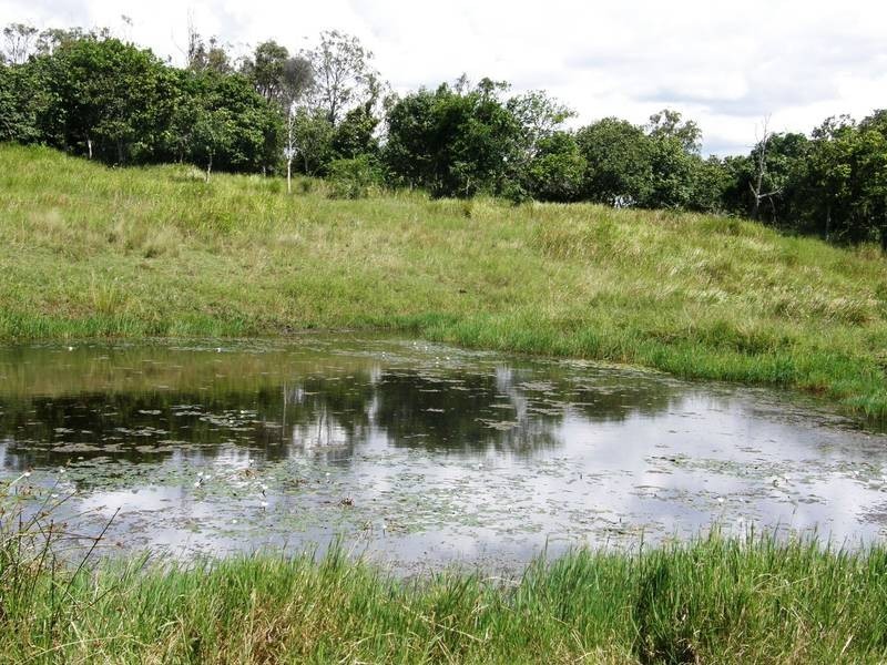 Lot 270 Upper Strathden Road, Stratheden NSW 2470