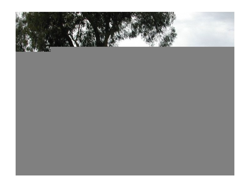 5 Gumtree Drive, Goonellabah NSW 2480