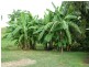 2096 Summerland Way, Roseberry NSW 2474