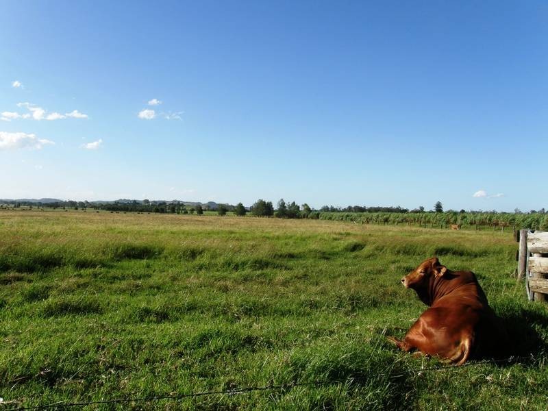 440 Tatham Road, Tatham NSW 2471